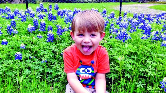 Bluebonnets bloom in the early spring, but need 5-6 months to grow. Plant bluebonnet seeds before Thanksgiving to ensure these Texas natives have time to bloom. August Rydell, 11, sits amid his mother’s bluebonnet garden. Photo by Julie Rydell