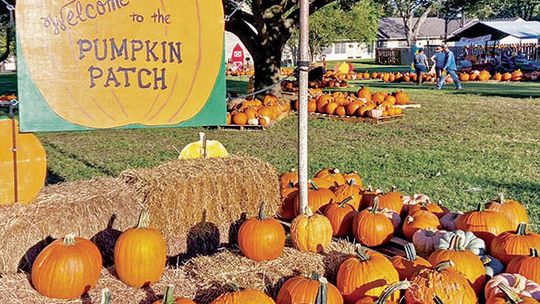 Courtesy photo The annual pumpkin patch is open through the end of the month at the First United Methodist Church of Taylor.