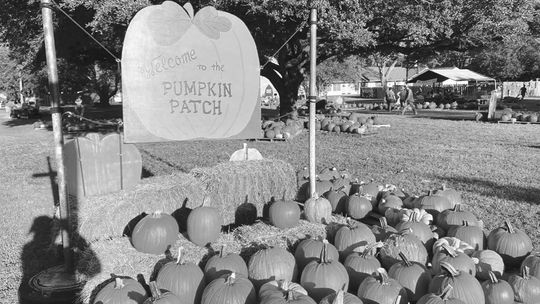 The annual pumpkin patch is open through the end of the month at the First United Methodist Church of Taylor.