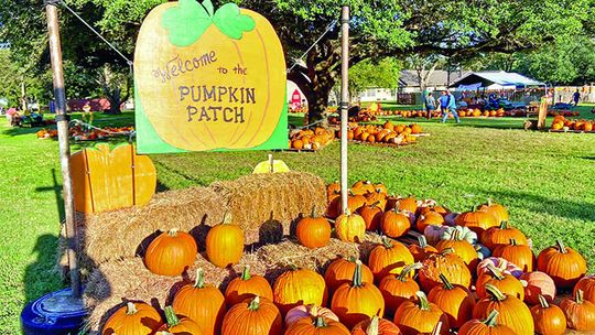 The Pumpkin Patch at First United Methodist Church will be open again this year from Oct. 9-31. Courtesy photo