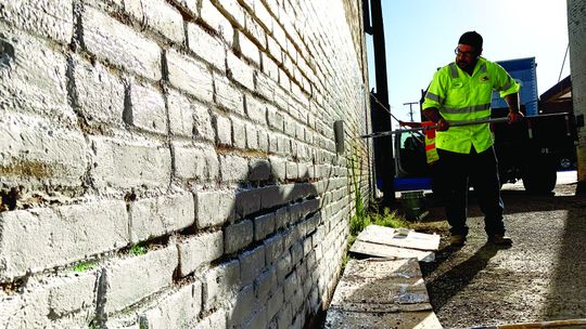 Taylor public works staffer Chris Gonzales applies a new coat of paint Sept. 30 to the wall on the north side of Potter’s Alley. Photo by Richard Stone