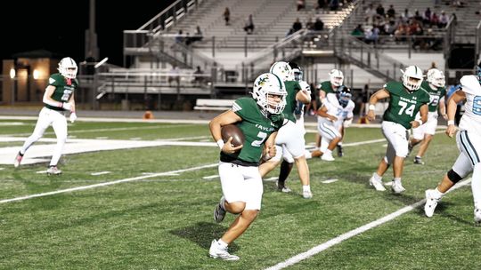 Red hot Ducks take on Panthers