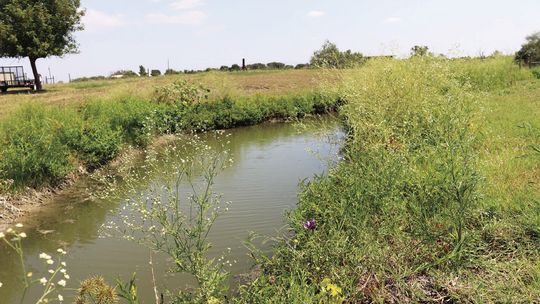 Residents voice concerns