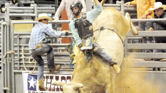 Bull rider holds onto a bull in a previous years’ Taylor Annual Rodeo. Photo from Staff Files