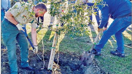 HUTTO – On Saturday, Nov. 5, volunteers along with representatives from the Texas A&amp;M Forest Service and the Hutto Parks and Recreation staff planted more than 70 trees at Creekside Park. Photo courtesy of the City of Hutto Parks and Recreation Facebook page