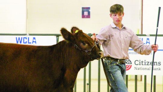 SHOW AND TAIL Animals take center stage at livestock show