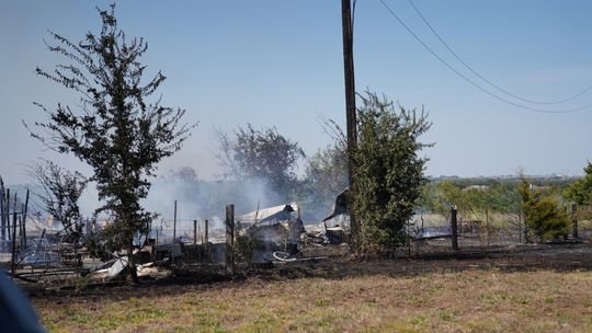 Structure destroyed, canine killed in Hutto barn blaze
