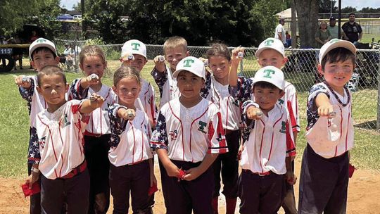 Taylor 6U Little League finishes 2nd at Regionals
