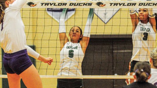 Taylor Ducks seek turnaround against Troy Trojans