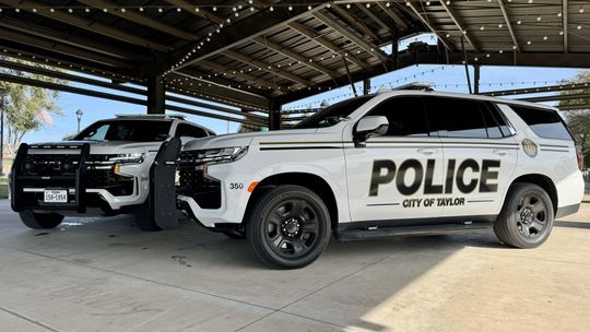 TAYLOR POLICE DEPARTMENT CALLS FOR SERVICE