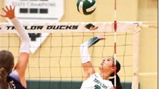 Taylor swept versus Bumblebees