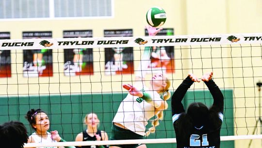Taylor volleyball sweeps back-to-back