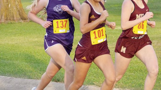 Thrall, Granger XC compete at regional championship