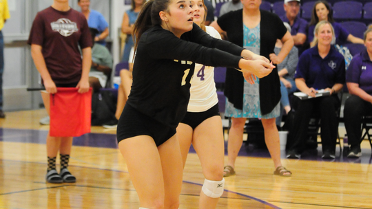 Thrall High School varsity volleyball senior Melaina Grissom concentrates on the ball during the Tigerettes’ home match on Aug. 22 vs. Troy High School. Photo by Larry Pelchat 