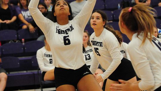 Tigerettes senior setter Aaliyah Couch sets the ball during game against Holland. Photos by Larry Pelchat