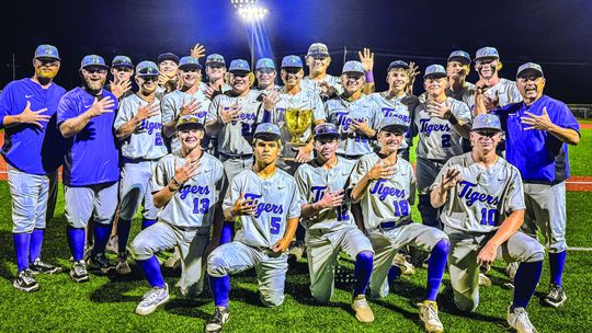 Tigers advance to state semifinals with victory over Owls