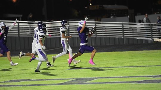 Tigers blast past Florence