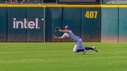 Tigers fall in state final