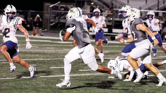 Vikings sail past Ducks, 48-7
