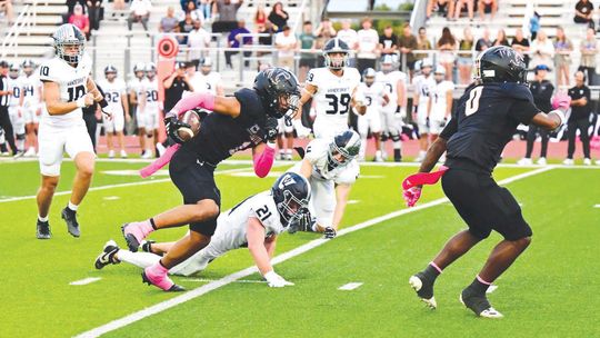 Vipers slither past Hippos, 44-34