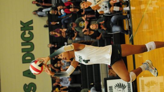 Volleyball player of the week