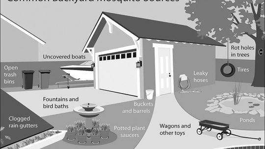 Common places where mosquitos can find enough water for breeding. Source: www.rileycountyks.gov