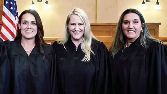 Wilco JPs appointed to key roles in state association