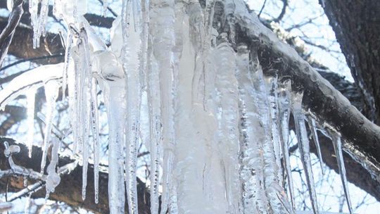 Icy conditions will be the main concern this week in Taylor, although possibly not to the extent seen here Feb. 19 last year. Photo by Fernando Castro