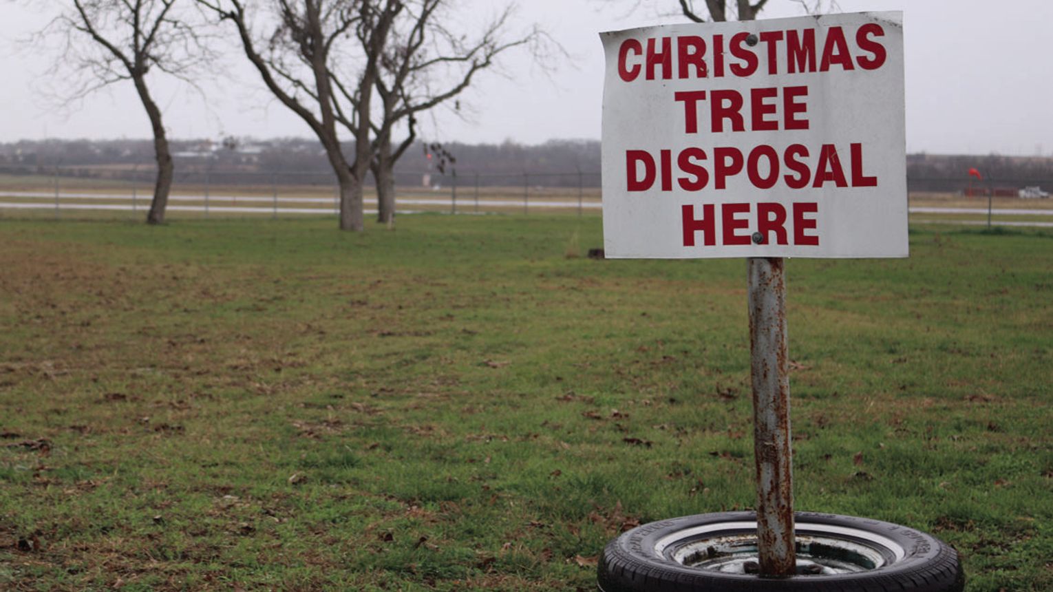 City offering Christmas tree recycling