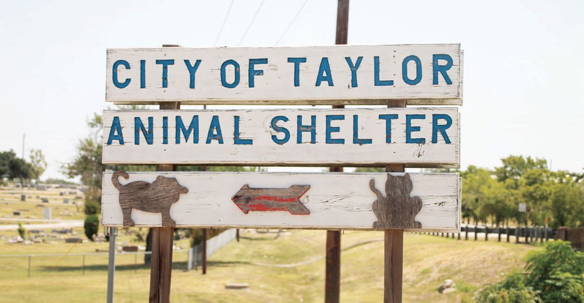 While the Taylor Animal Shelter is under a limited capacity, it is still operational for adoptions and fostering. It currently has six dogs waiting to be adopted or fostered. Photo by Hunter Dworaczyk