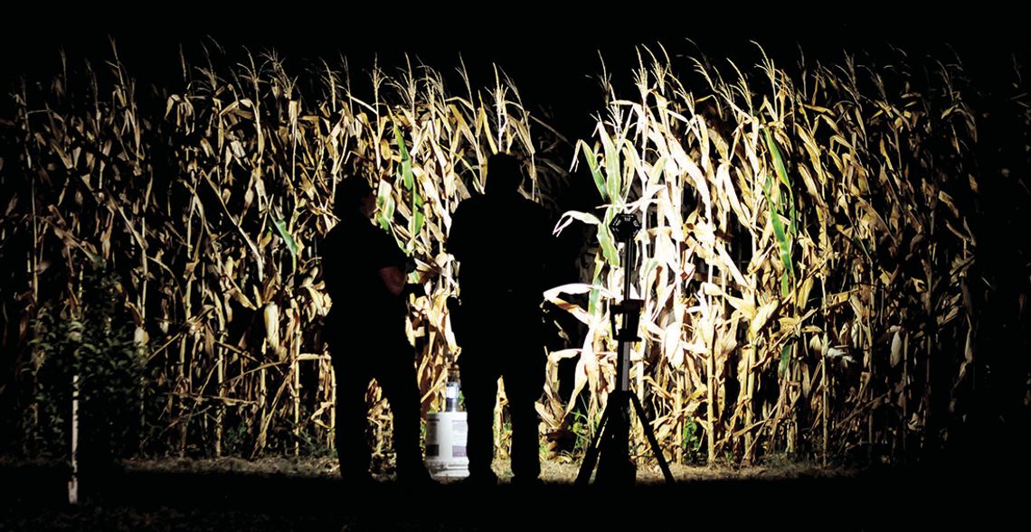 Responders investigate the opening of the cornfield where the body was found on July 7. Body is presumed to be the missing Taylor man who was last seen on June 20. Photo by Larry Pelchat