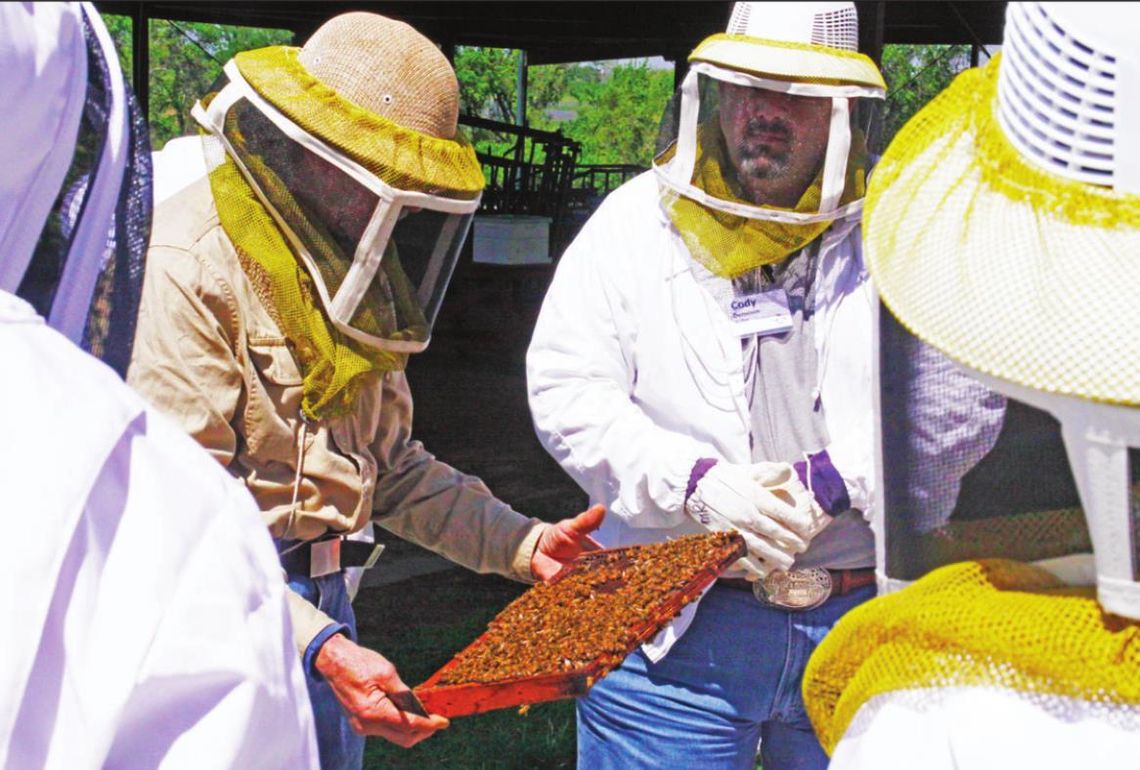 Students at the Bee School can suit up and watch while a hive of live bees is opened and inspected. Courtesy photo