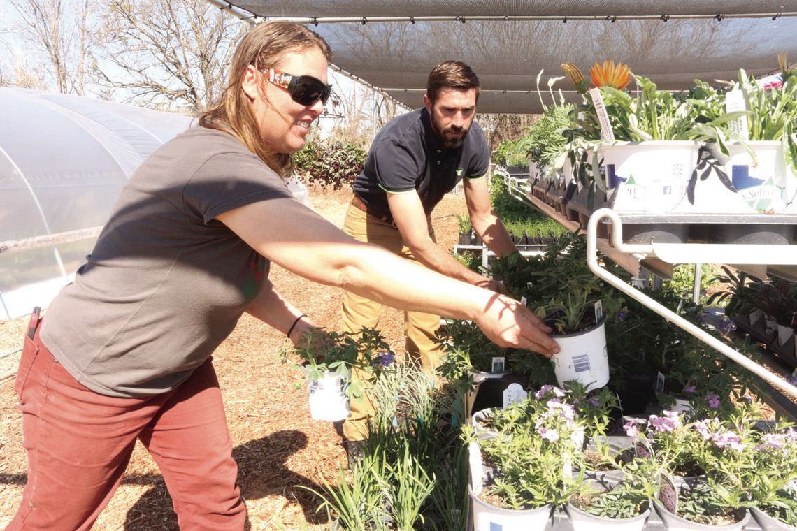 Assistant Manager Crystal Burkett and Manager BJ Dach stock bluebonnets and geraniums in preparation for the grand opening on Friday, Feb 25. Photo by Edie Zuvinich