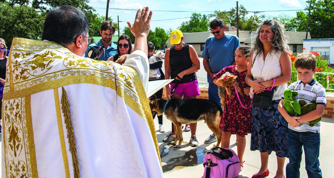 Blessing of the Animals