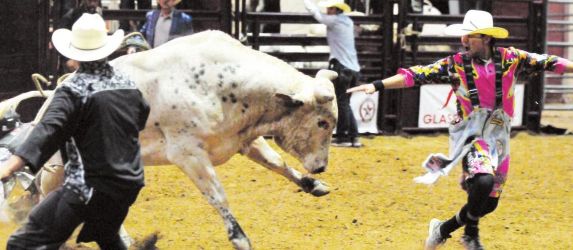 Although they are dressed like a clown, the bullfighter’s job is to distract the bull after a rider has fallen off. The clown’s job is to keep the crowd entertained. Photo by Larry Pelchat