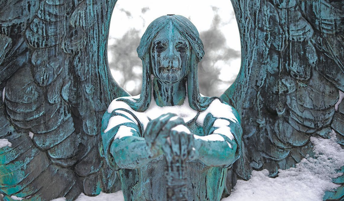 Care for the widow, the orphan and the stranger