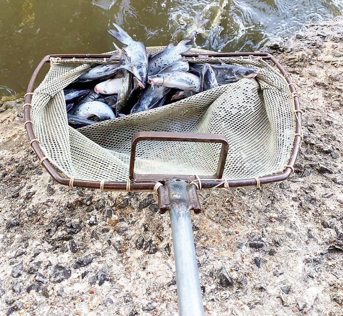 Catfish stocking begins at Neighborhood Fishin` Lakes