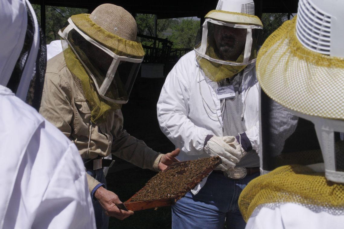 Students at the Bee School can suit up and watch while a hive of live bees is opened and inspected. Courtesy photo