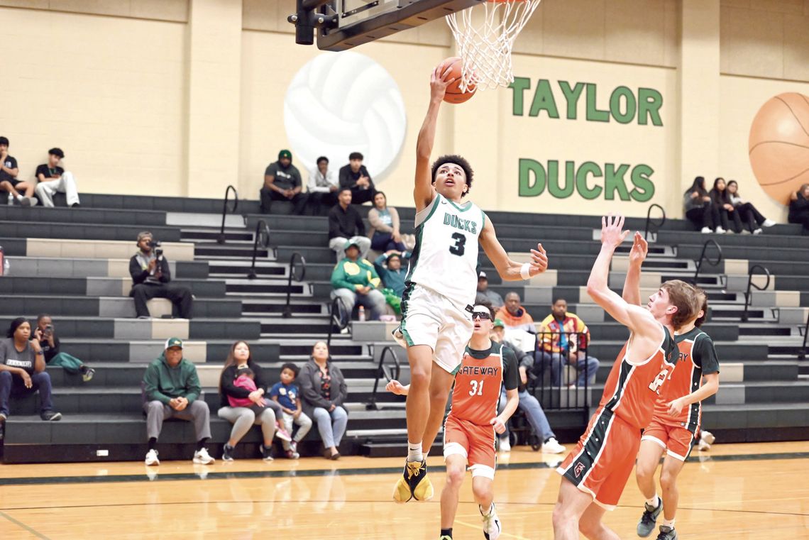 Ducks drop seventh straight versus Gators