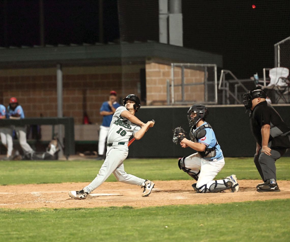 DUCKS SNAP 11 GAME SKID