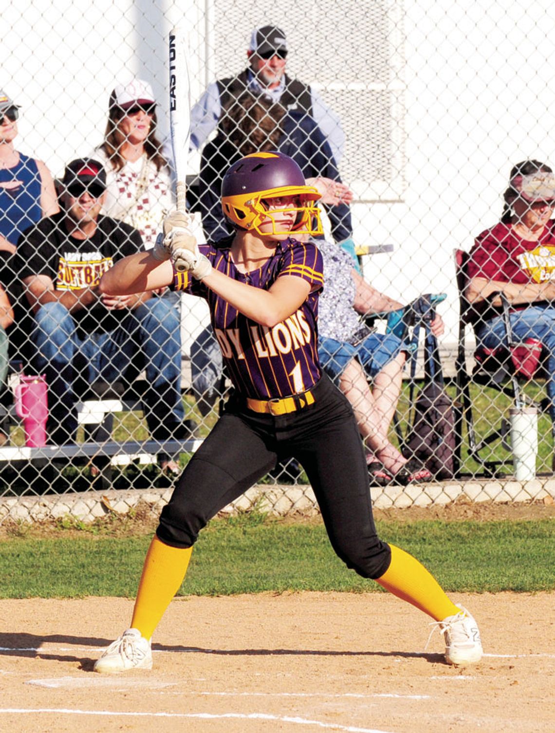 Eight Lady Lions earn all-district honors