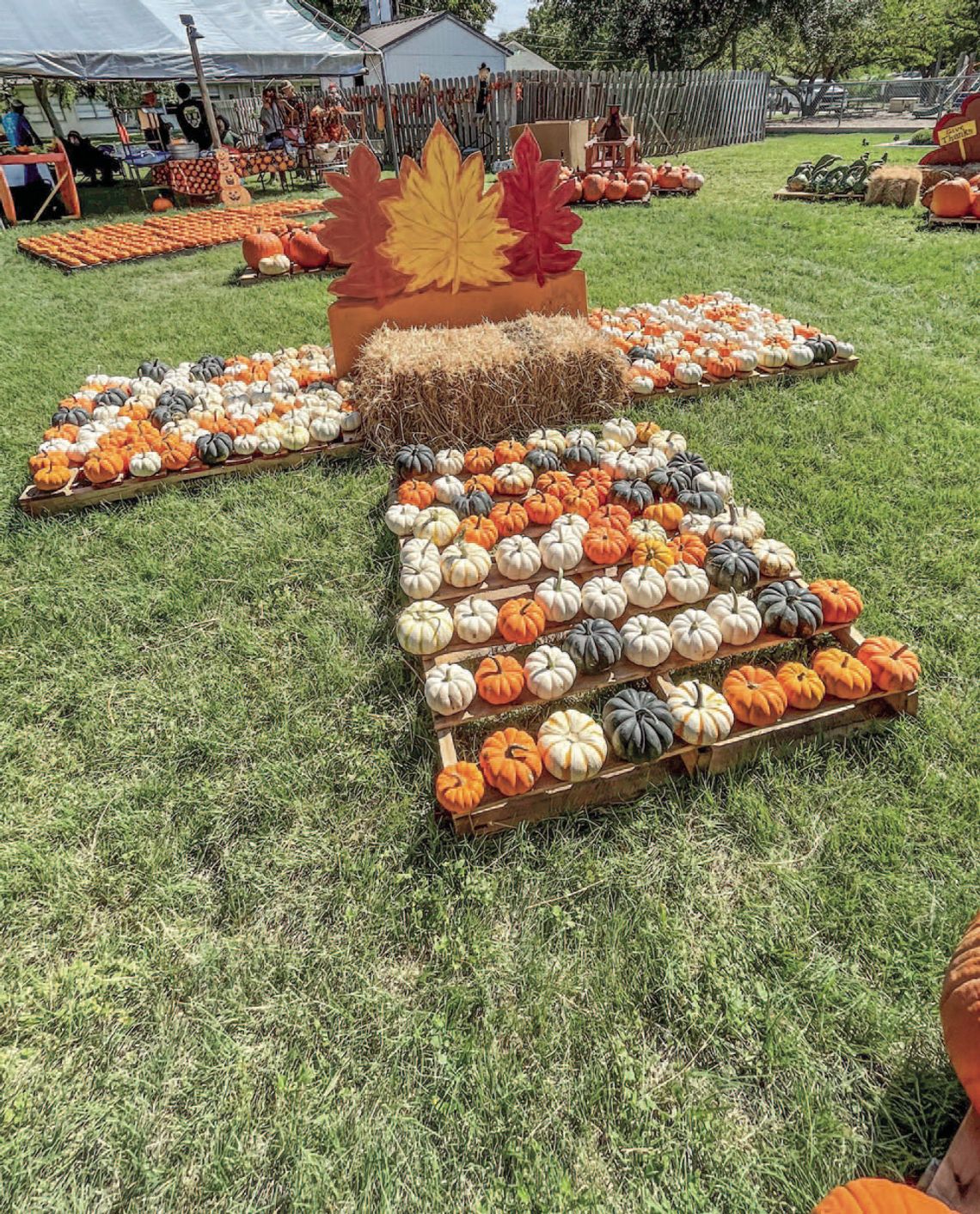 First United Methodist Church pumpkin patch debuts Oct. 5