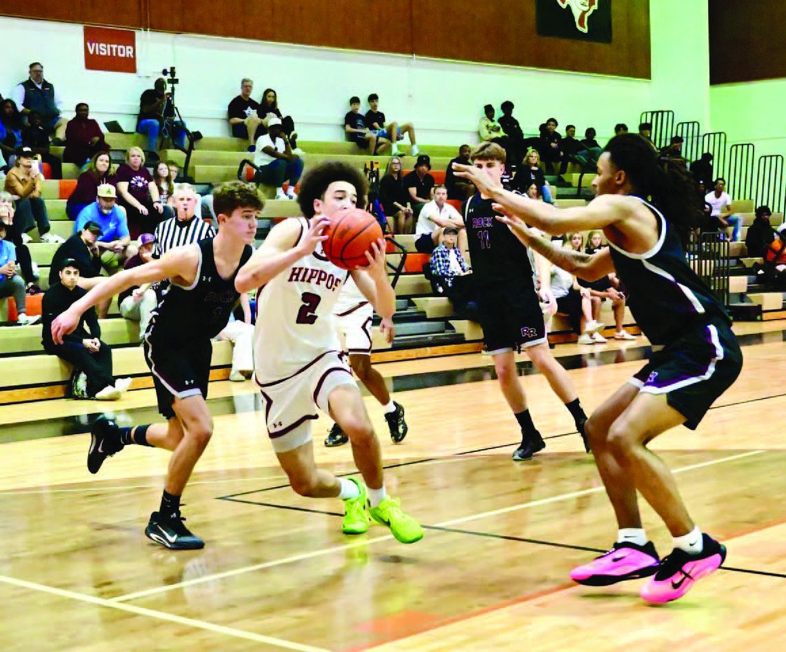 Hippos fall to Dragons, 65-52