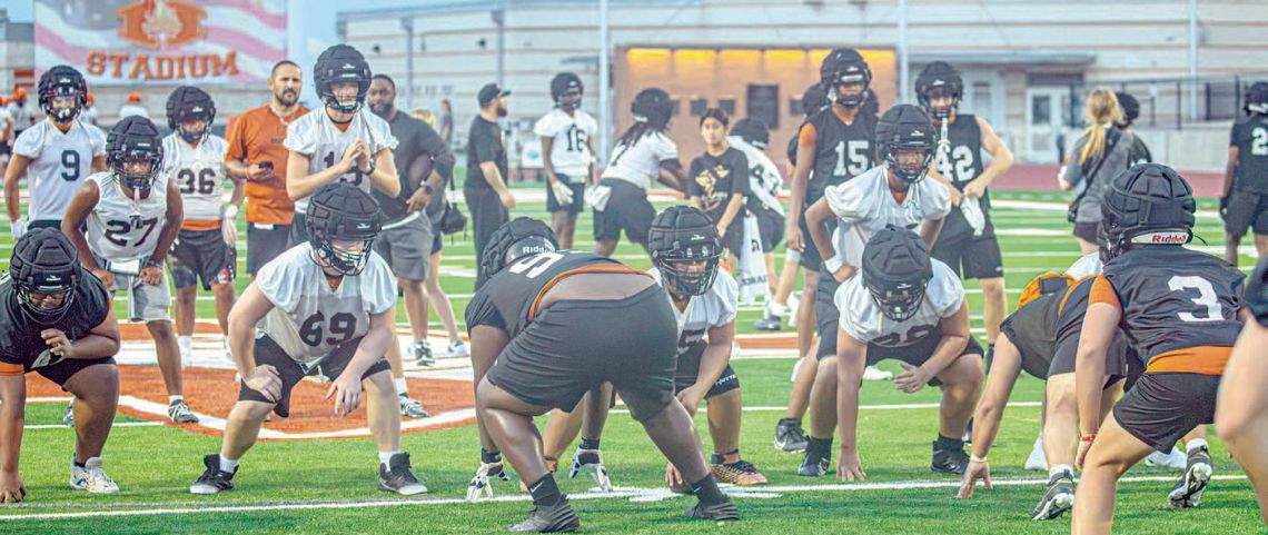 HIPPOS PUTTING IN THE WORK