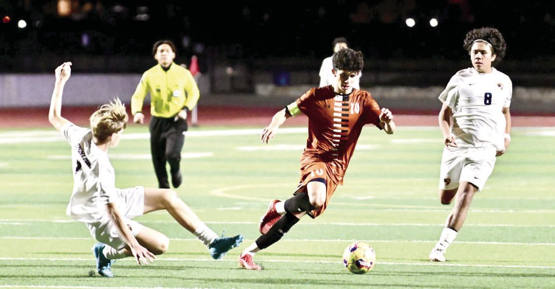 HIPPOS SOCCER TEAMS COMPETE IN TOURNAMENT PLAY