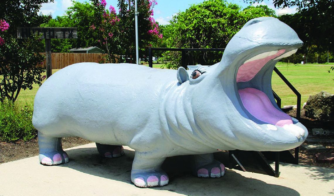 Hutto school board rebuts City Council