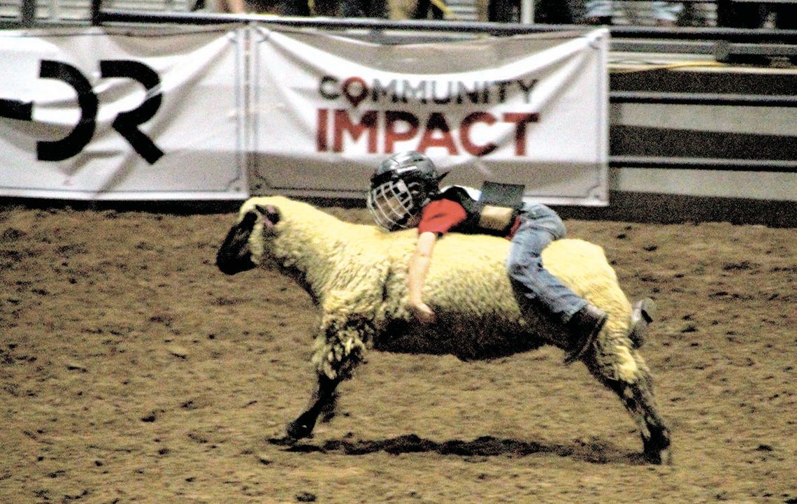 Inaugural youth rodeo on horizon in June