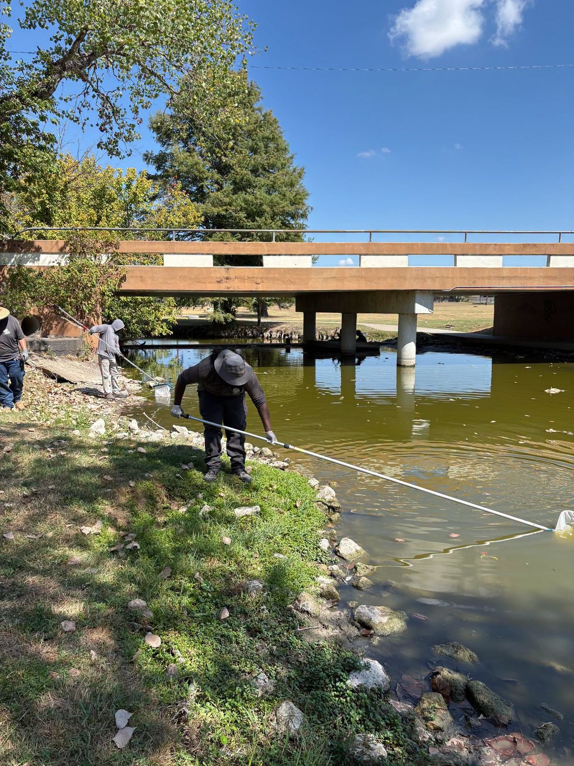 Lack of oxygen killed fish in Murphy Park Lack of oxygen killed fish in Murphy Park