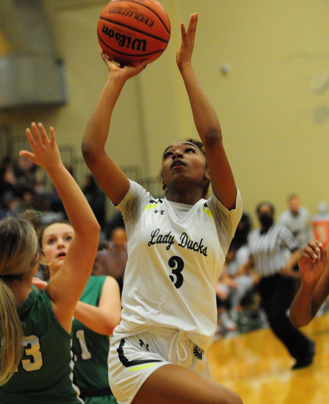 Lady Ducks earn district honors