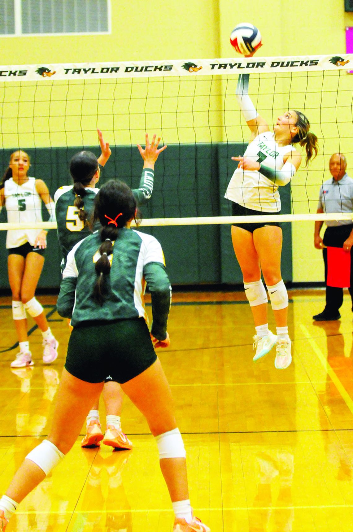 Lady Ducks fall to Buffaloes, 3-0